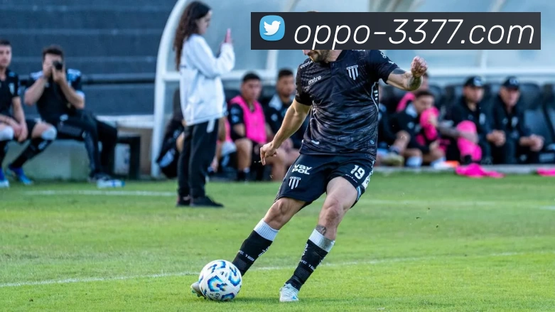 3377体育平台生态图